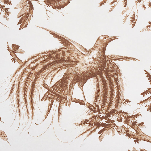 TOILE DE LA PRAIRIE Brown by Jill Lasersohn Scenic Botanical Wallpaper – Schumacher 5011712