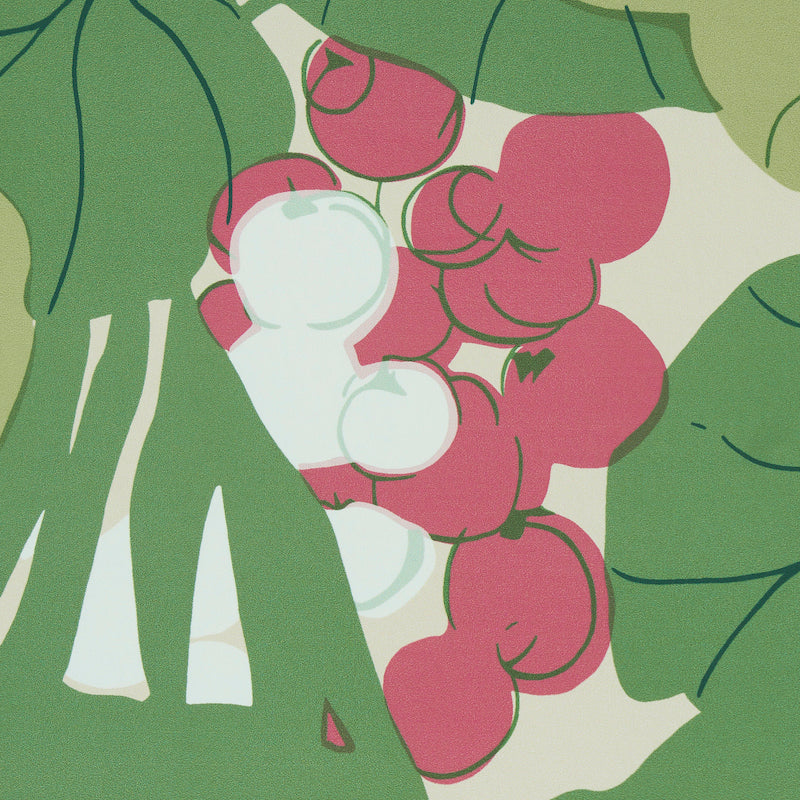 Sea Grapes Tropical Botanical Wallpaper Greens Schumacher 5011731 – Perennial Favorites Collection