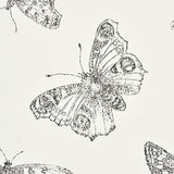 Burnell Butterfly Ivory by Schumacher Whimsical Butterfly Wallcovering – Schumacher 5011740