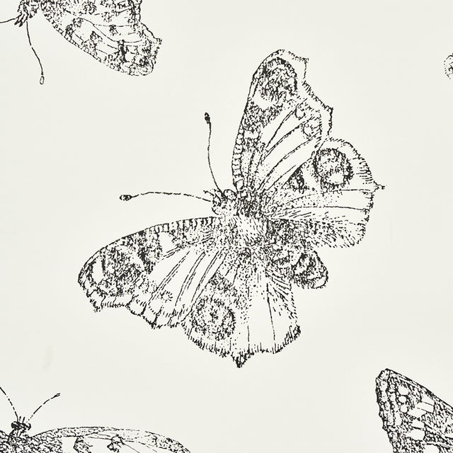 Burnell Butterfly Ivory by Schumacher Whimsical Butterfly Wallcovering – Schumacher 5011740