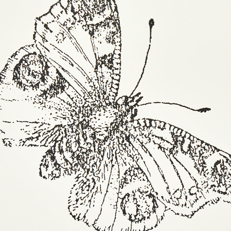Burnell Butterfly Ivory by Schumacher Whimsical Butterfly Wallcovering – Schumacher 5011740