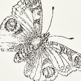 Burnell Butterfly Ivory by Schumacher Whimsical Butterfly Wallcovering – Schumacher 5011740
