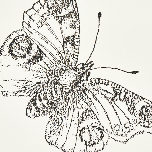 Burnell Butterfly Ivory by Schumacher Whimsical Butterfly Wallcovering – Schumacher 5011740
