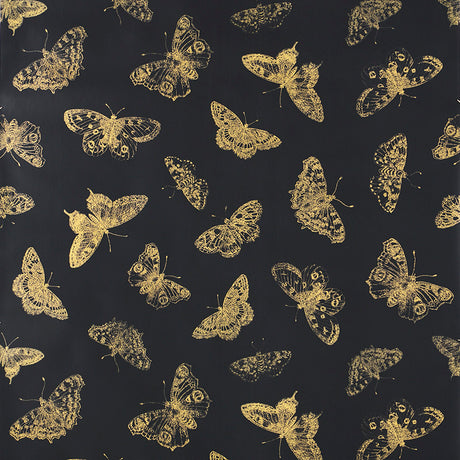 Burnell Butterfly wallpaper in black with metallic gold butterfly stamp design by Schumacher