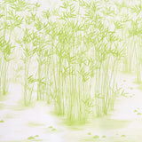Kanji Panel Set Green Bamboo Wallcovering – Schumacher 5011790