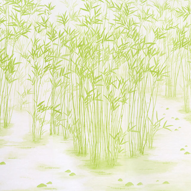 Kanji Panel Set Green Bamboo Wallcovering – Schumacher 5011790