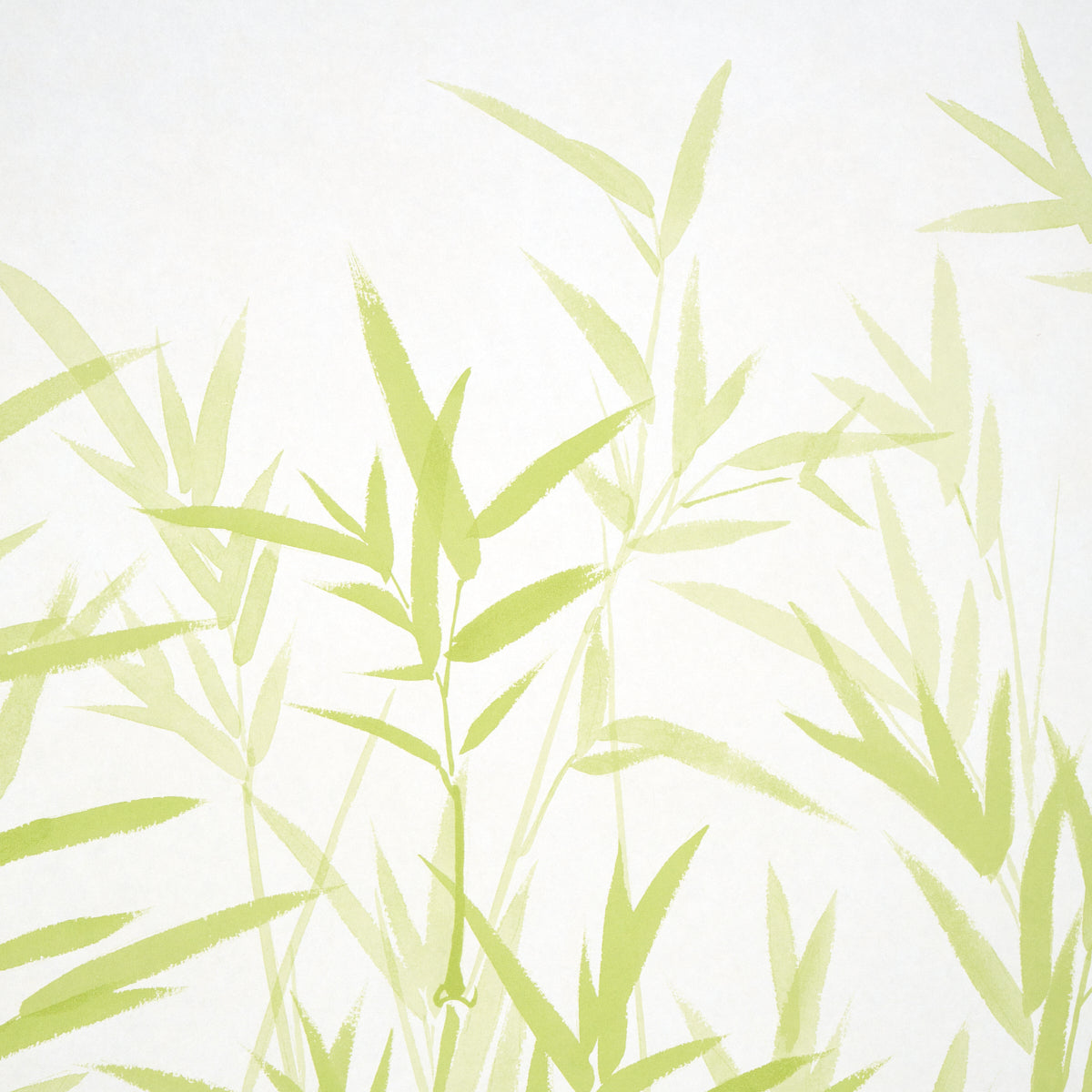 Kanji Panel Set Green Bamboo Wallcovering – Schumacher 5011790
