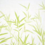 Kanji Panel Set Green Bamboo Wallcovering – Schumacher 5011790