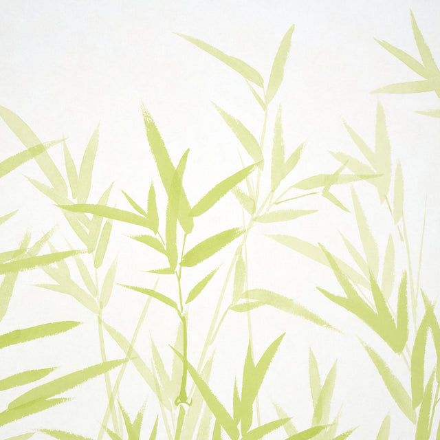 Kanji Panel Set Green Bamboo Wallcovering – Schumacher 5011790