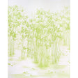 Green bamboo brush painting inspired wallpaper panel set, Kanji Panel Set by Schumacher