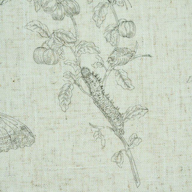 Baudin Butterfly Linen Black by Schumacher Botanical Butterfly Fabric – Schumacher 5011830