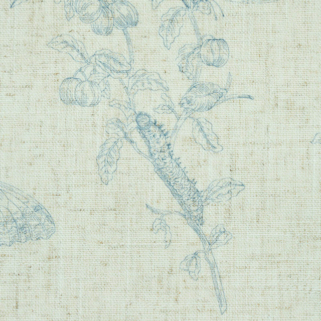 Baudin Butterfly Linen Blue by Schumacher Butterfly Botanical Wallpaper – Schumacher 5011831