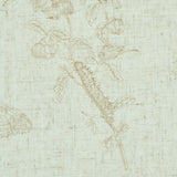 Baudin Butterfly Linen in Natural by Schumacher Butterfly Botanical Wallpaper – Schumacher 5011832