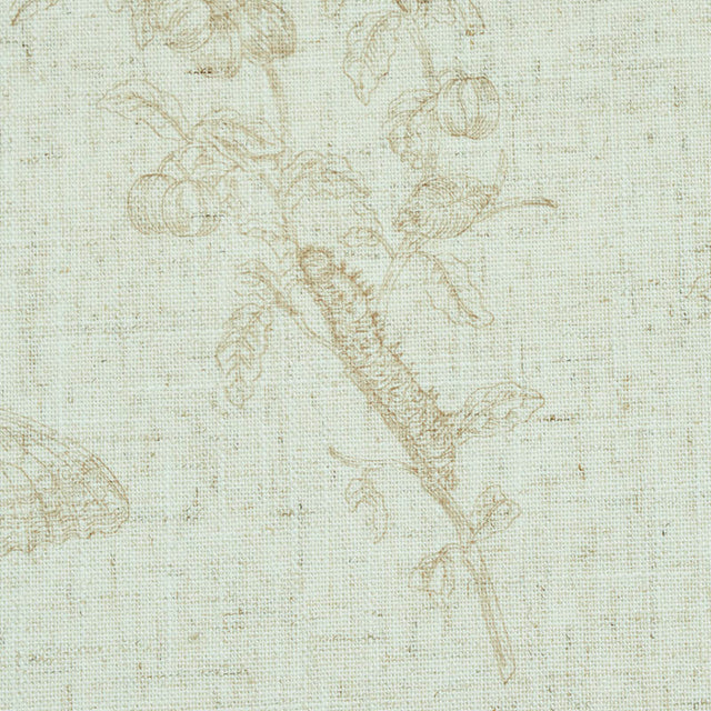 Baudin Butterfly Linen in Natural by Schumacher Butterfly Botanical Wallpaper – Schumacher 5011832