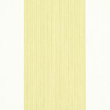 Edwin Stripe Wide Citron by Schumacher Wide Stripe Wallpaper – Schumacher 5011908