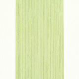 Edwin Stripe Wide Leaf by Schumacher Classic Green Stripe Wallpaper – Schumacher 5011909