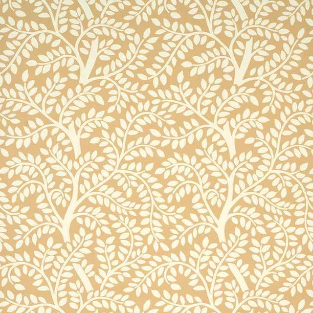 Sand and white botanical vine pattern wallpaper, Schumacher Temple Garden II, shown in a kitchen setting and close-up details.
