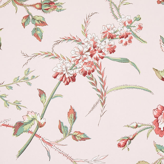 Beluze Blush by Schumacher Wide-Width Floral Wallpaper – Schumacher 5011981