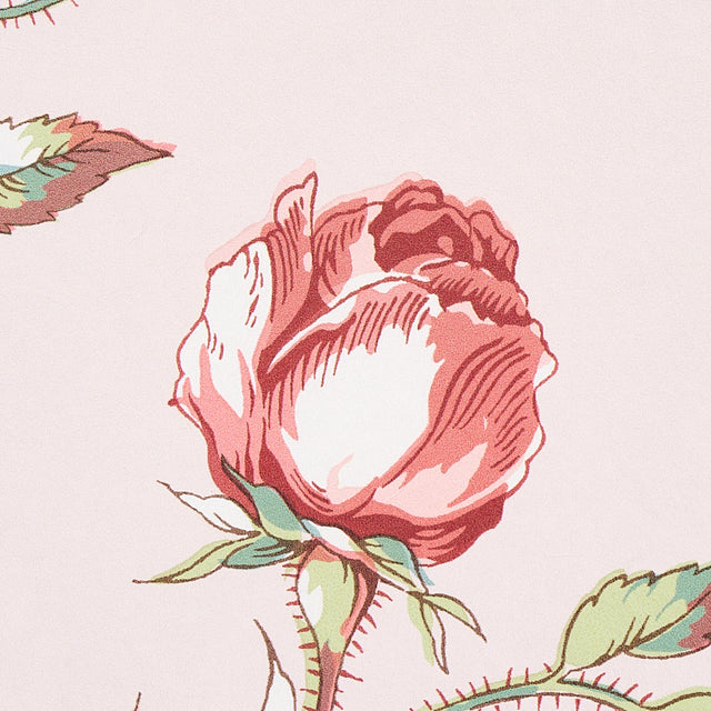 Beluze Blush by Schumacher Wide-Width Floral Wallpaper – Schumacher 5011981