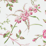 BELUZE Magenta Floral Wallpaper by Schumacher – 5011982