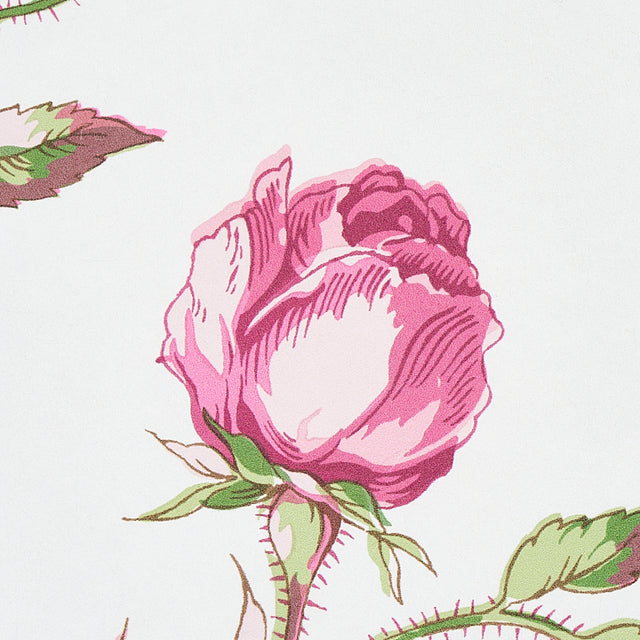 BELUZE Magenta Floral Wallpaper by Schumacher – 5011982
