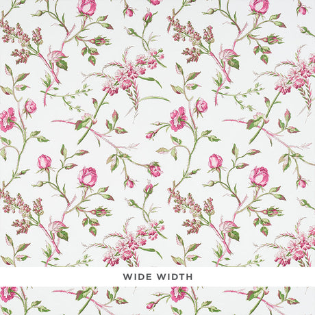 Magenta floral wallpaper with scattered roses and green leaves on a white background, Schumacher BELUZE