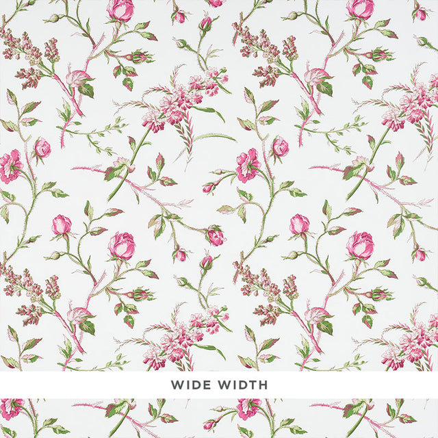 Magenta floral wallpaper with scattered roses and green leaves on a white background, Schumacher BELUZE