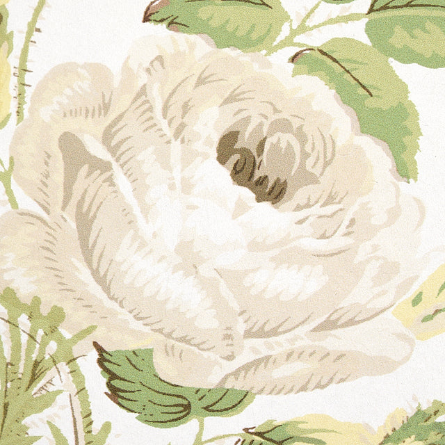 LOUDON ROSE Ivory Floral Wallpaper by Schumacher – 5012030