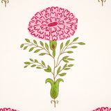 Marigold Pink Floral Wallpaper by Molly Mahon – Schumacher 5012070