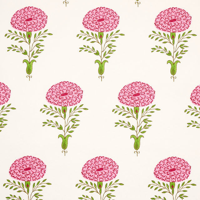 Marigold pink floral wallpaper by Molly Mahon for Schumacher, featuring graphic marigold flowers in pink and green on a white background.