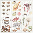 Bauhin Document Multi by Schumacher - botanical bookplate wallpaper with birds, insects, coral, trees, and natural world illustrations