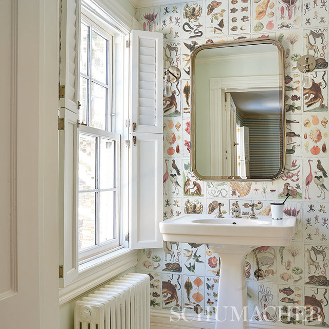 Bauhin Soft Multi by Schumacher Botanical Bookplate Wallpaper – Schumacher 5012091
