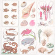 Bauhin Soft Multi by Schumacher - botanical bookplate style wallpaper with birds, insects, coral, trees, and natural world illustrations