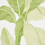 ERISIMO Leaf Green Banana Leaf Wallpaper by Schumacher Copacabana Collection – 5012110