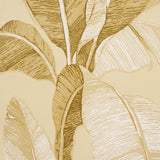 ERISIMO Neutral Banana Leaf Wallpaper by Schumacher Copacabana Collection – SKU 5012111