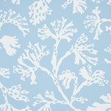 ANTHOZA Sky by Schumacher Botanical Wallpaper – Schumacher 5012130
