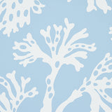 ANTHOZA Sky by Schumacher Botanical Wallpaper – Schumacher 5012130