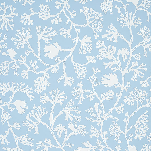ANTHOZA wallpaper in Sky by Schumacher features a white botanical coral pattern on a light blue background, shown in detail and in a styled bedroom setting.