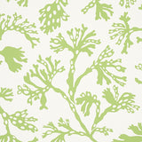 ANTHOZA Green Botanical Wallpaper by Schumacher – 5012131
