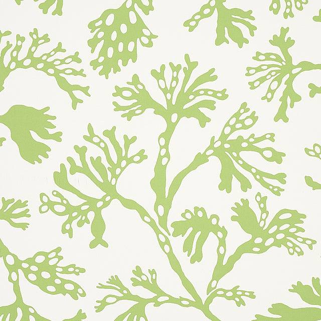 ANTHOZA Green Botanical Wallpaper by Schumacher – 5012131
