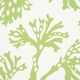 ANTHOZA Green Botanical Wallpaper by Schumacher – 5012131