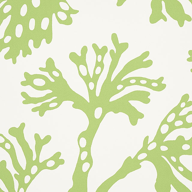 ANTHOZA Green Botanical Wallpaper by Schumacher – 5012131
