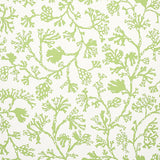 ANTHOZA wallpaper in green by Schumacher featuring a botanical seaweed-inspired pattern on a white background.