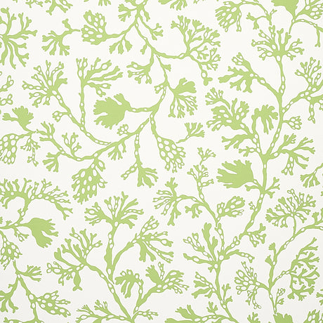 ANTHOZA wallpaper in green by Schumacher featuring a botanical seaweed-inspired pattern on a white background.