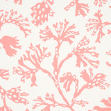 ANTHOZA Coral by Schumacher Coral Botanical Wallpaper – Schumacher 5012132
