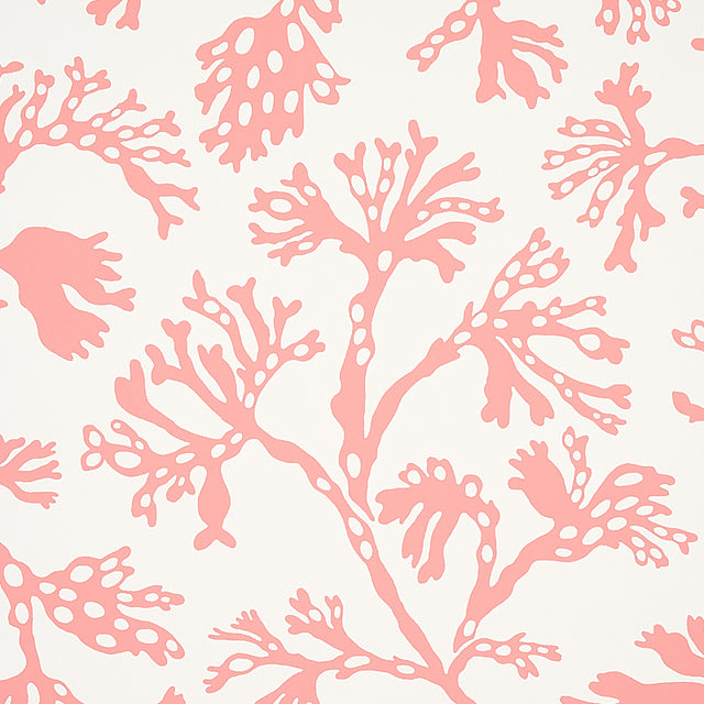 ANTHOZA Coral by Schumacher Coral Botanical Wallpaper – Schumacher 5012132