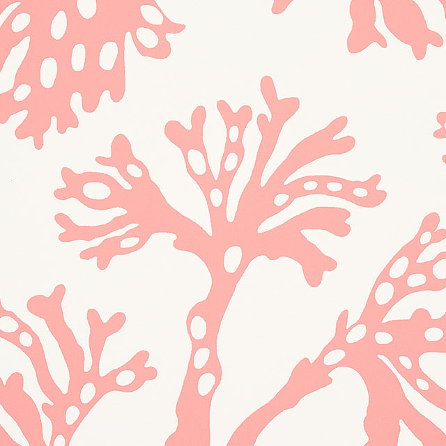 ANTHOZA Coral by Schumacher Coral Botanical Wallpaper – Schumacher 5012132