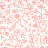 ANTHOZA wallpaper in coral by Schumacher, featuring a botanical coral reef-inspired pattern in pink on a white background.