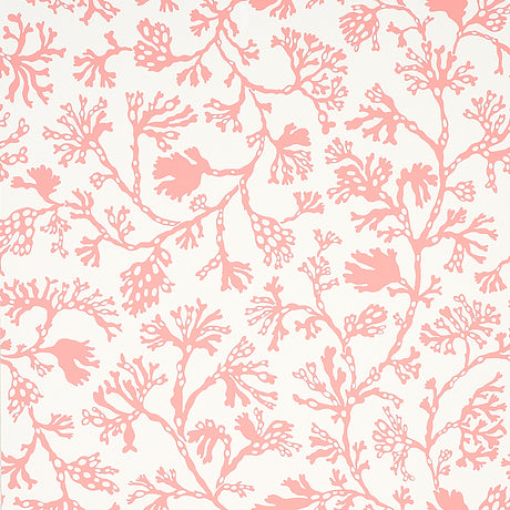 ANTHOZA wallpaper in coral by Schumacher, featuring a botanical coral reef-inspired pattern in pink on a white background.
