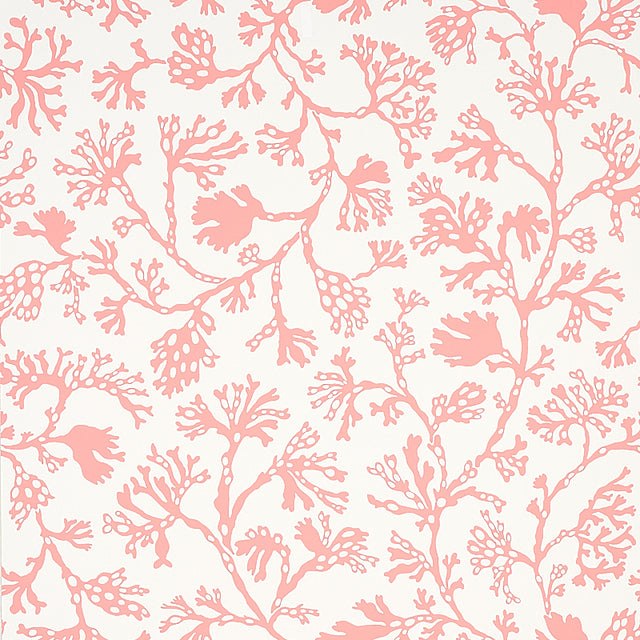 ANTHOZA wallpaper in coral by Schumacher, featuring a botanical coral reef-inspired pattern in pink on a white background.